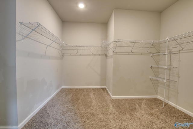 13971 Lannister Ln, Athens, AL 35613 - spacious closet with carpet flooring