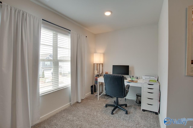 carpeted office space featuring a healthy amount of sunlight