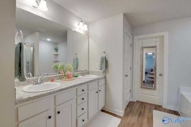 bathroom with vanity and hardwood / wood-style floors