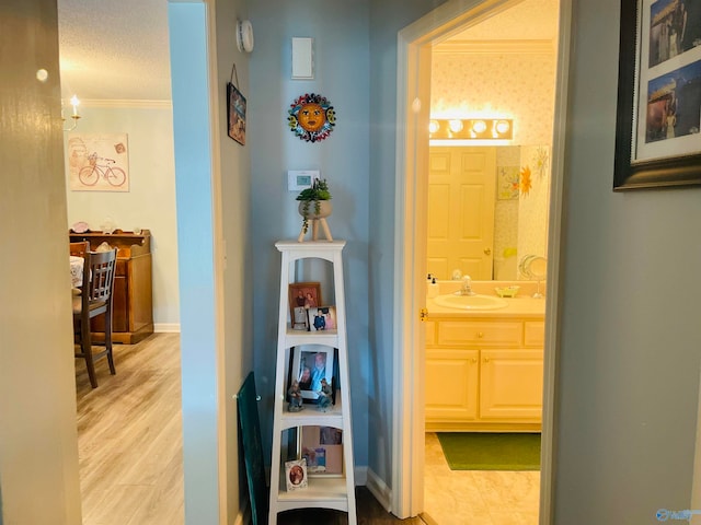 hallway with light hardwood / wood-style flooring, crown molding, sink, and a textured ceiling