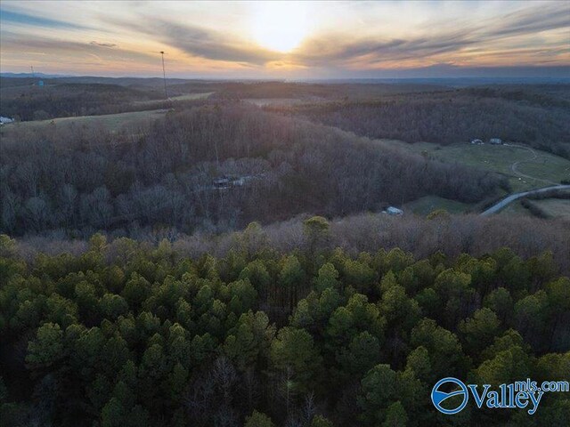 1056 Rocky Hollow Rd Unit 10, Blountsville, AL 35031