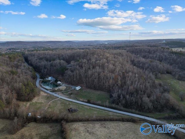 1056 Rocky Hollow Rd Unit 10, Blountsville, AL 35031