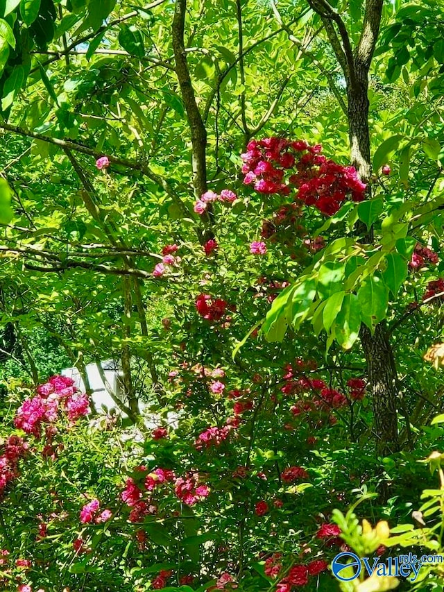 view of landscape