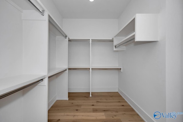 spacious closet with light wood-style flooring