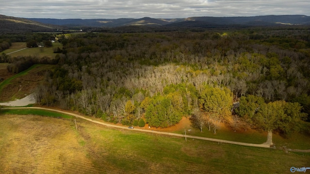 aerial view with a mountain view