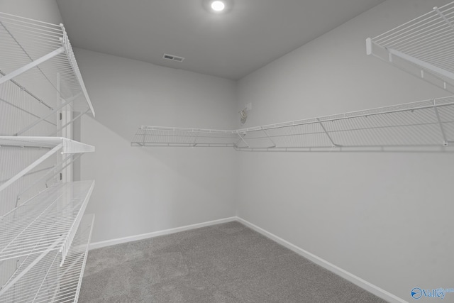 spacious closet featuring carpet flooring