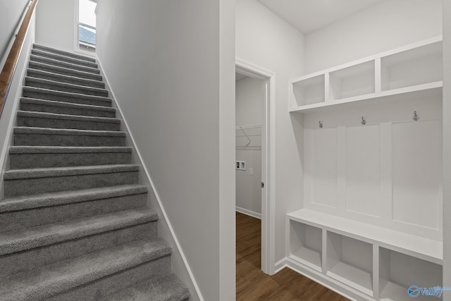 mudroom featuring dark wood-type flooring