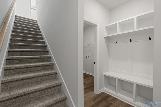 mudroom featuring dark hardwood / wood-style flooring