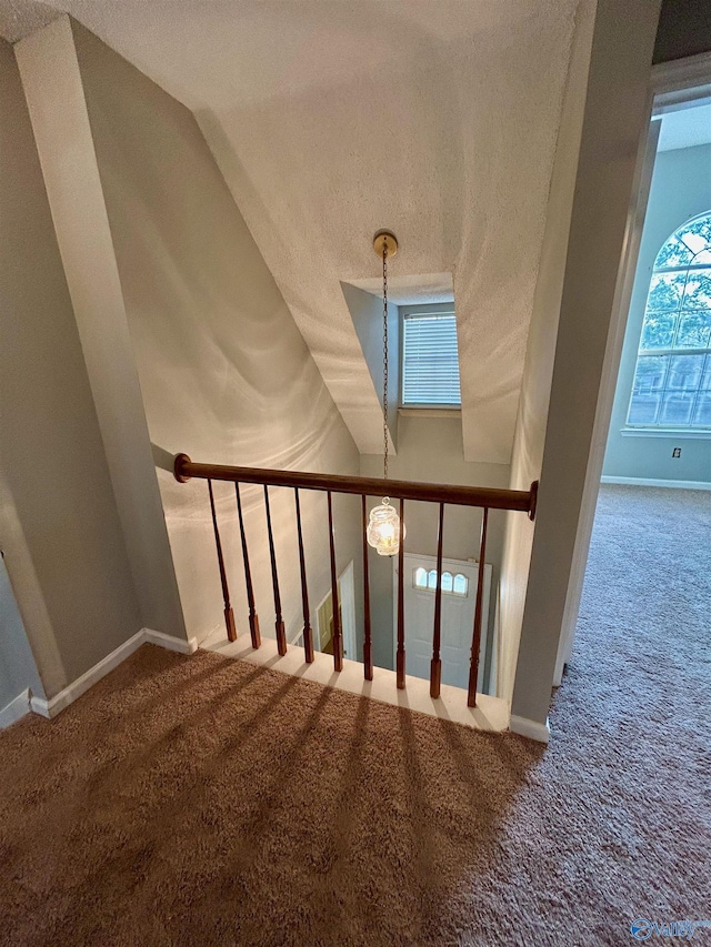 stairway with carpet floors