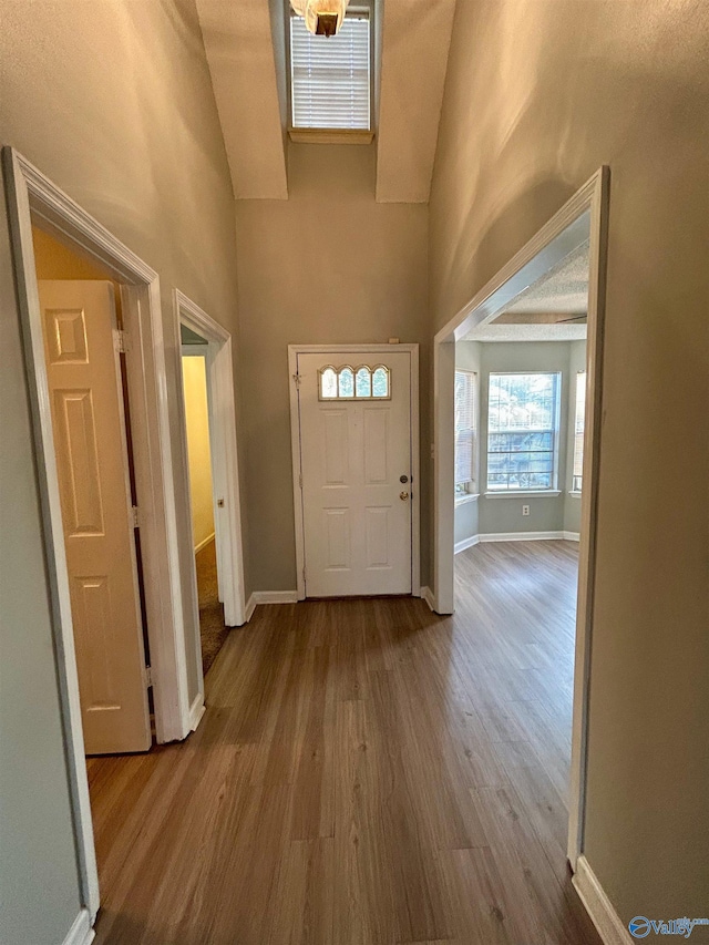 entryway with hardwood / wood-style flooring and a high ceiling