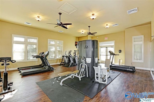 exercise room featuring ceiling fan, dark hardwood / wood-style floors, and a wealth of natural light