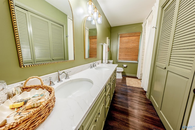 218 Beaver Run Dr, Madison, AL 35758 - bathroom with a closet, toilet, double vanity, and wood finished floors