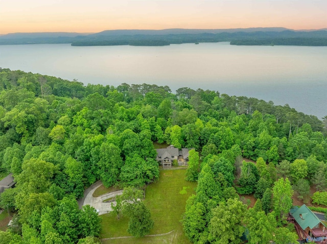 aerial view at dusk with a view of trees and a water view
