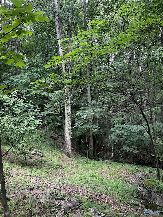 1727 SW Chestnut Mountain Rd, Decatur, AL 35603 - view of wooded area