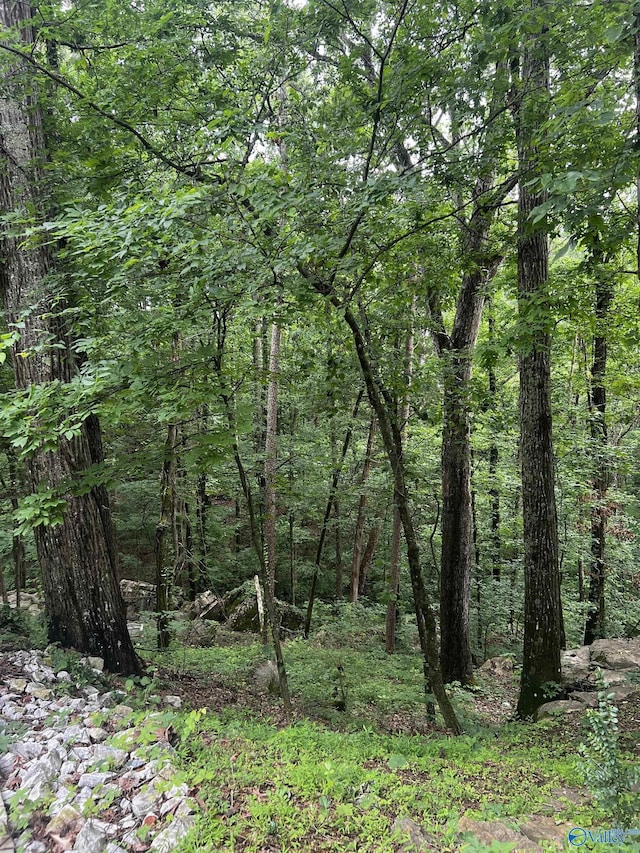 1727 SW Chestnut Mountain Rd, Decatur, AL 35603 - view of tree filled area