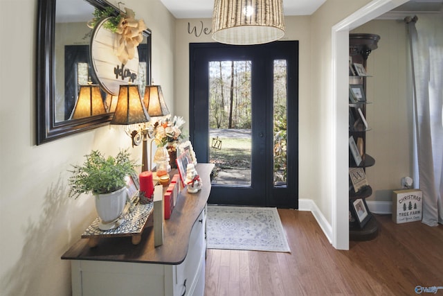 foyer entrance with dark hardwood / wood-style flooring