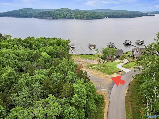 Listing photo 3 for LOT1 Reserve Dr, Guntersville AL 35976