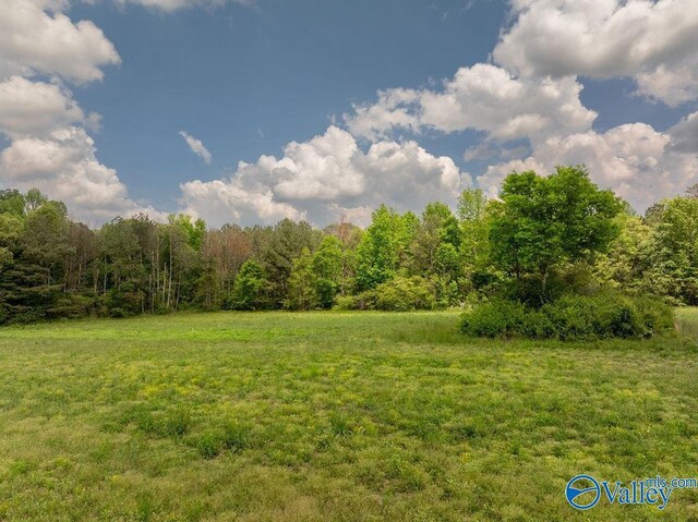 14.75ACRES Liberty Rd, Henagar, AL 35978