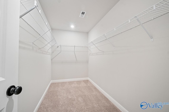 spacious closet featuring carpet and visible vents