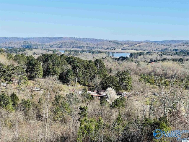 1161 Bakers Chapel Ln, Guntersville AL, 35976 land for sale