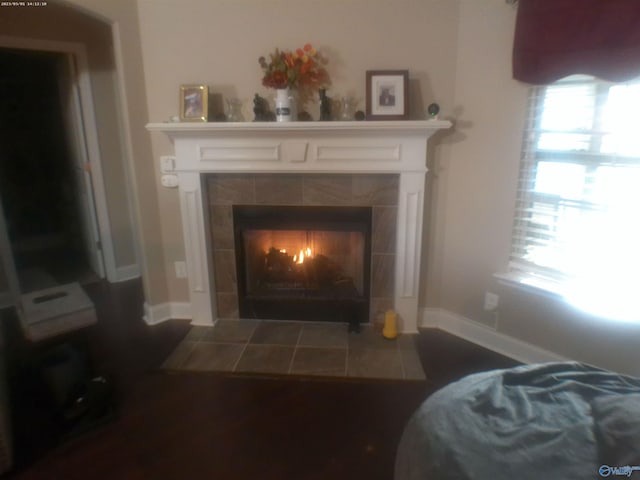 details featuring a fireplace and wood-type flooring