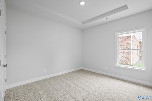 carpeted empty room featuring a tray ceiling and plenty of natural light