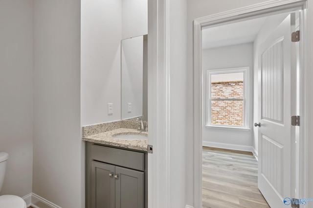 bathroom with vanity, toilet, and wood-type flooring