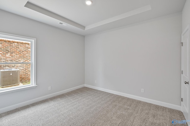 spare room with a raised ceiling and carpet