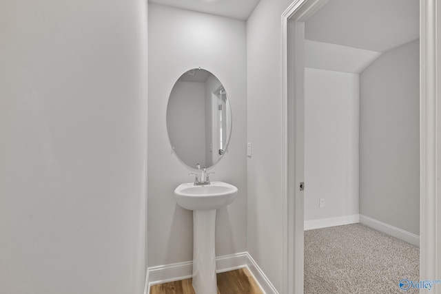 bathroom with wood-type flooring