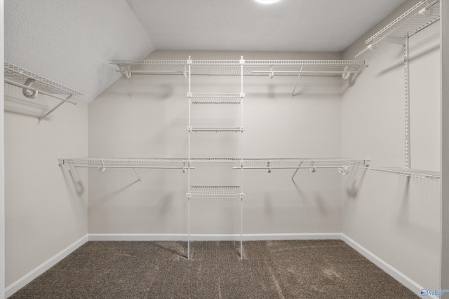 spacious closet with carpet and vaulted ceiling