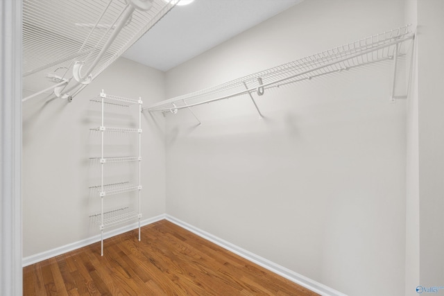 walk in closet with hardwood / wood-style floors
