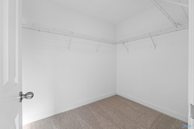2159 Dawson Ln NE, Cullman, AL 35058 - walk in closet featuring carpet flooring