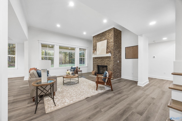 living room with light hardwood / wood-style flooring and a fireplace