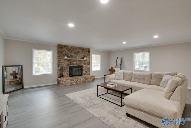 living room with hardwood / wood-style floors, crown molding, and a stone fireplace