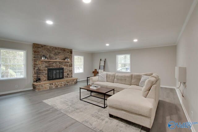 living room with crown molding, hardwood / wood-style floors, and a stone fireplace