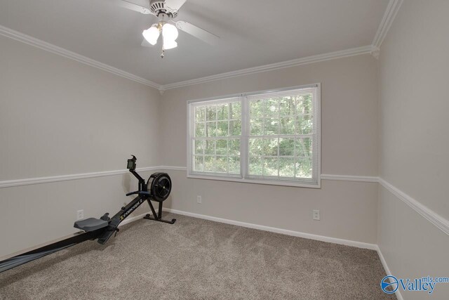 exercise area featuring ceiling fan, ornamental molding, and carpet floors