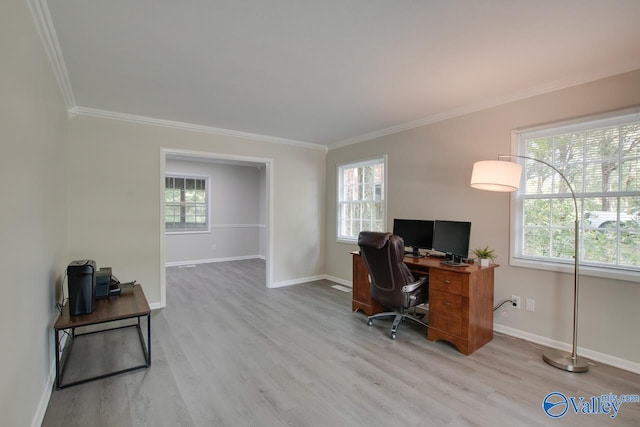 office with crown molding and light hardwood / wood-style flooring