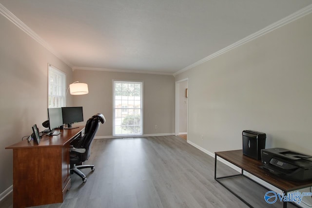 office space with hardwood / wood-style flooring and crown molding