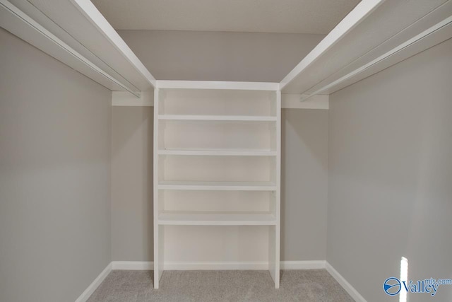 walk in closet featuring light colored carpet