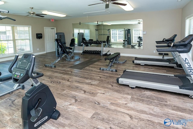 122 Willow Bank Cir, Priceville, AL 35603