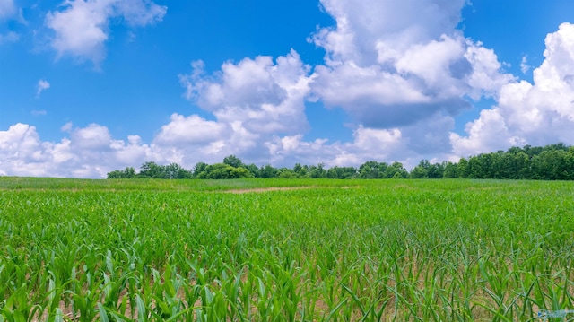 28ACRES County Road 62, Section, AL 35771