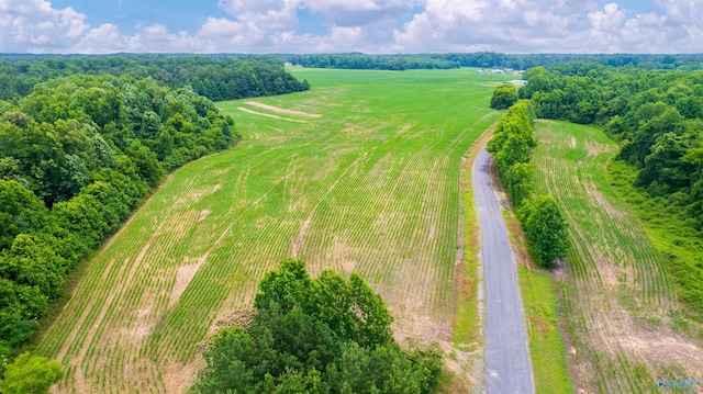 28ACRES County Road 62, Section, AL 35771