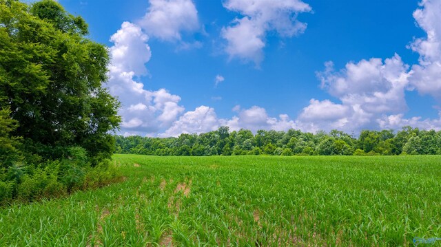 28ACRES County Road 62, Section, AL 35771