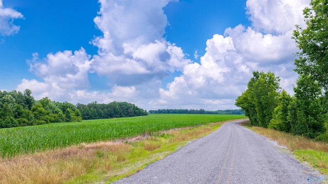 28ACRES County Road 62, Section, AL 35771