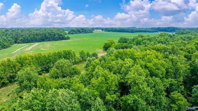 28ACRES County Road 62, Section, AL 35771