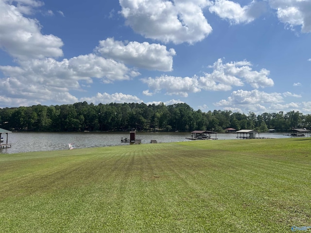 view of yard with a water view and a view of trees