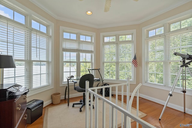 office space featuring plenty of natural light and light hardwood / wood-style floors