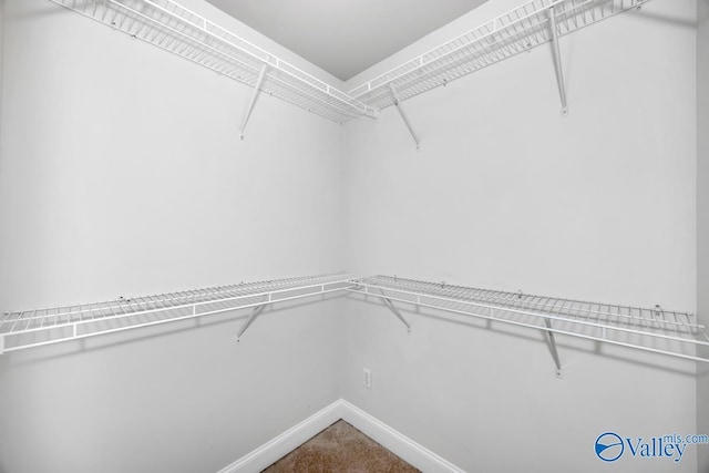 118 Conservancy Dr, Madison, AL 35758 - spacious closet featuring carpet floors