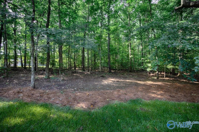 118 Conservancy Dr, Madison, AL 35758 - view of tree filled area