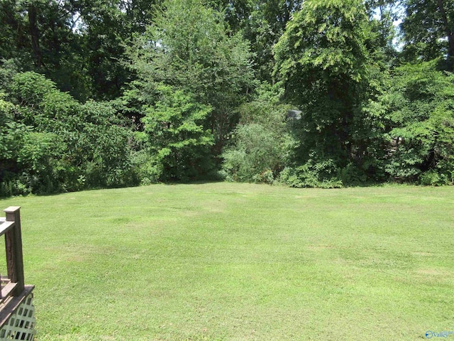 109 Colonial Dr, Scottsboro, AL 35768 - view of yard